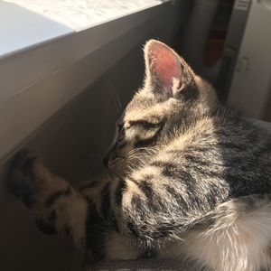 Meet your Posher, Isabel